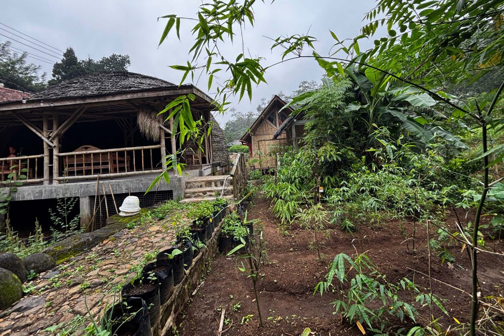 Kebun Koleksi Bambu Pondok Cikedokan