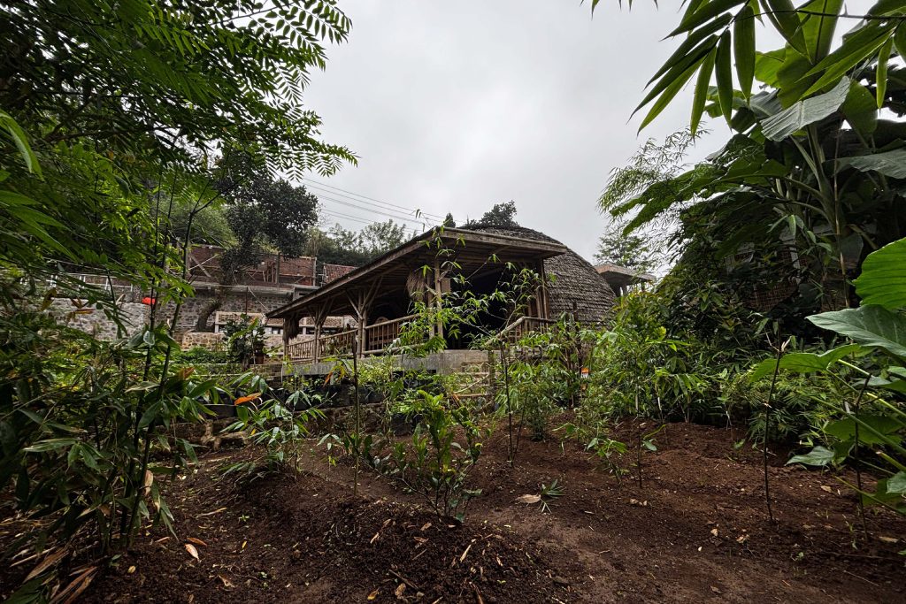 Kebun Koleksi Bambu Pondok Cikedokan