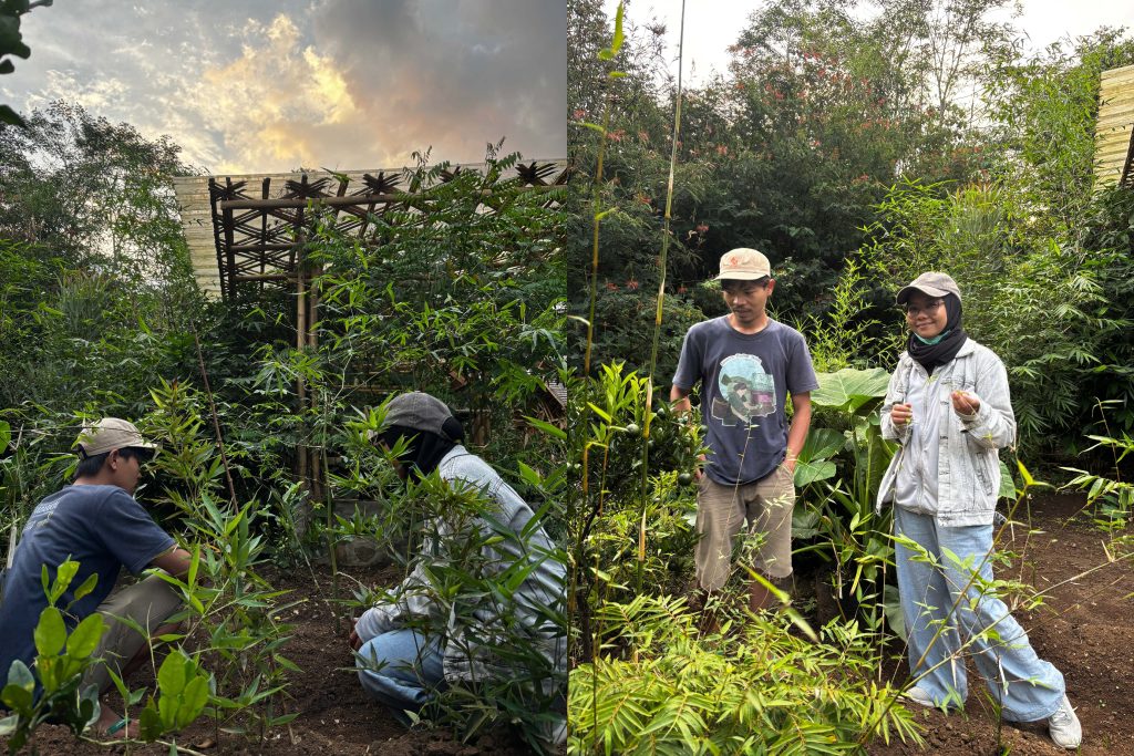 Kebun Koleksi Bambu Pondok Cikedokan